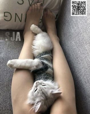 黄色三级网络_蓝光在线观看电视